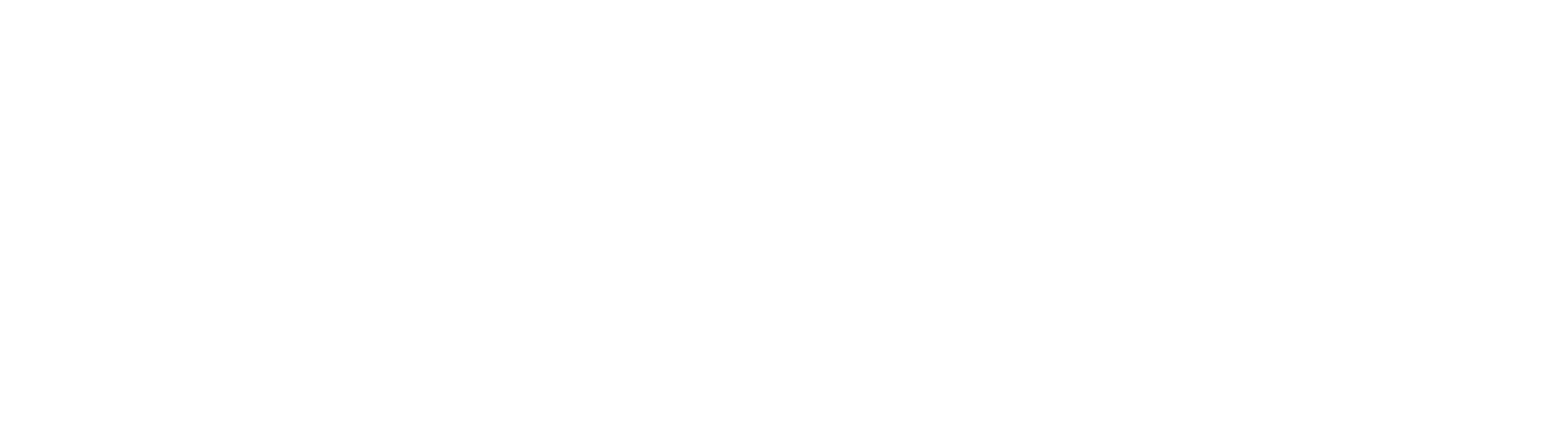 Nextant Logo Primary N Export